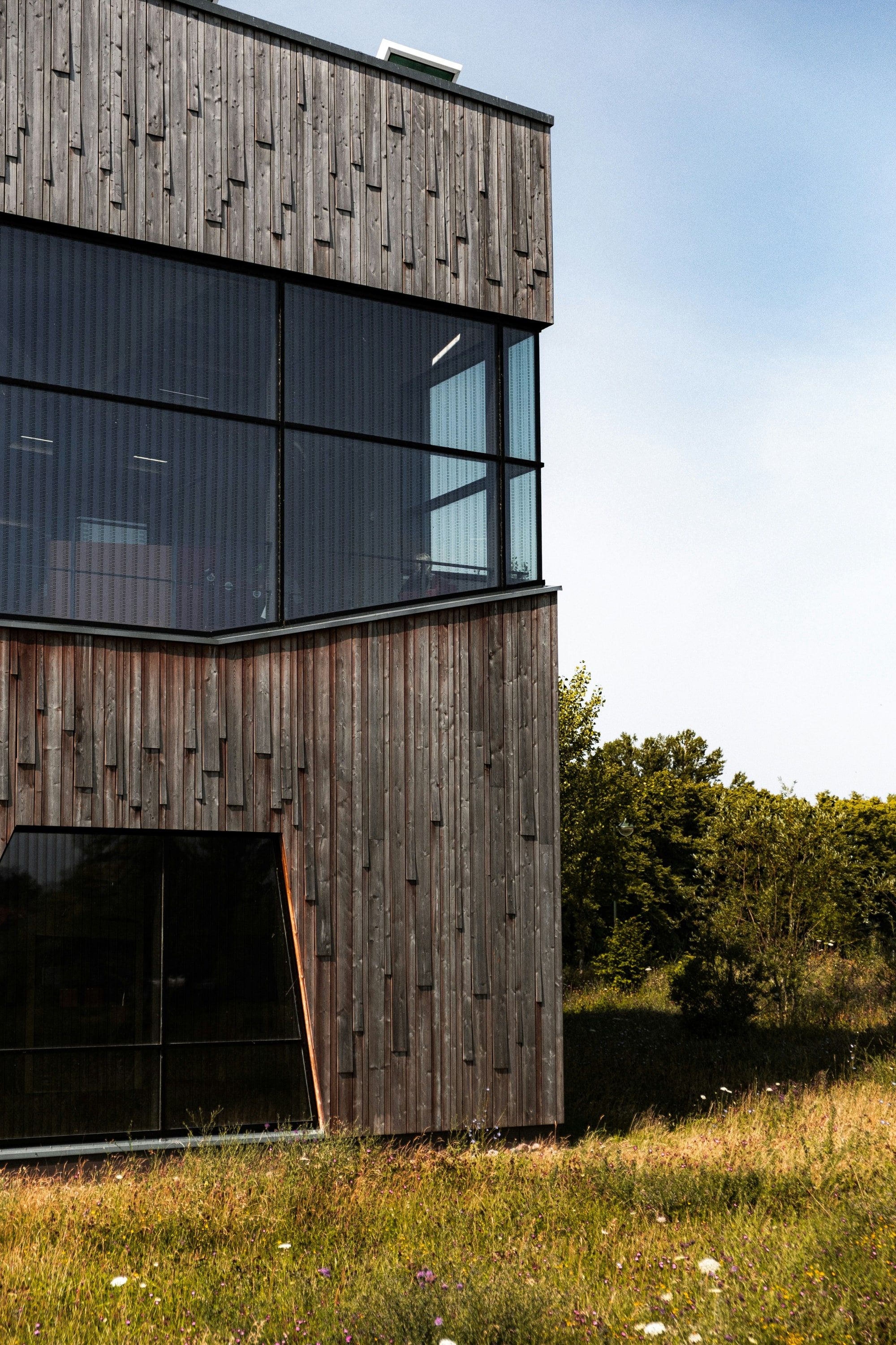 Steel-framed glazing set into rough-sawn timber cladding above long grass