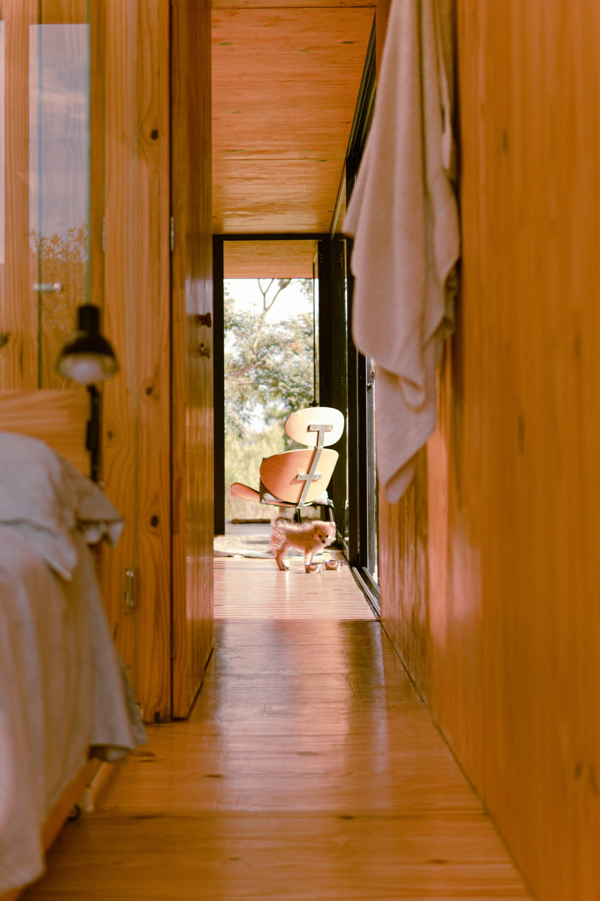 A narrow timber-lined hallway opening onto a sunlit room and garden beyond